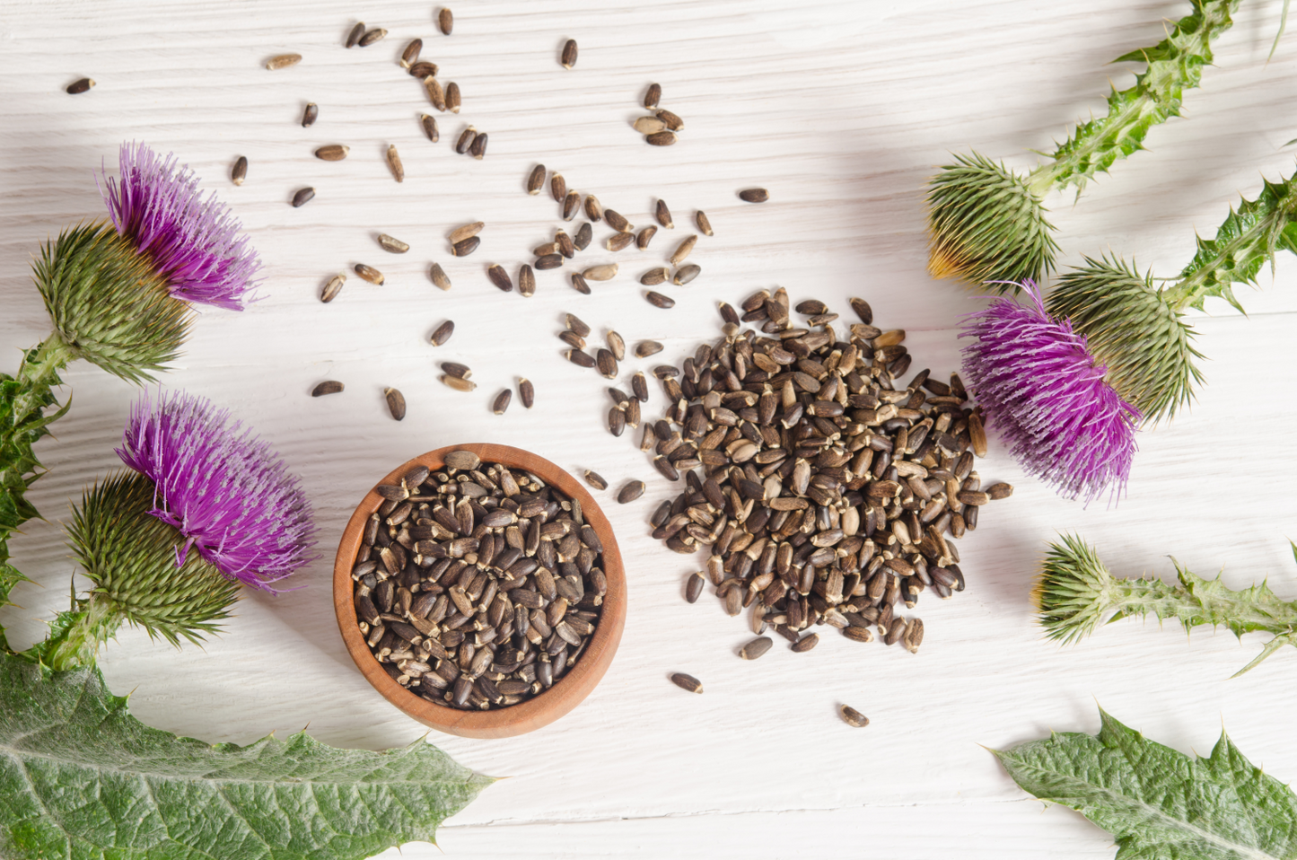 Milk Thistle Seed, Certified Organic, non-GMO 4 & 8 oz., whole & powder