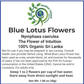 Blue Lotus Flower